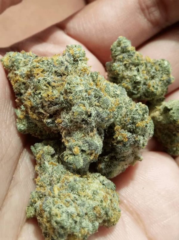 Buy RS 11 Strain UK - Image 3