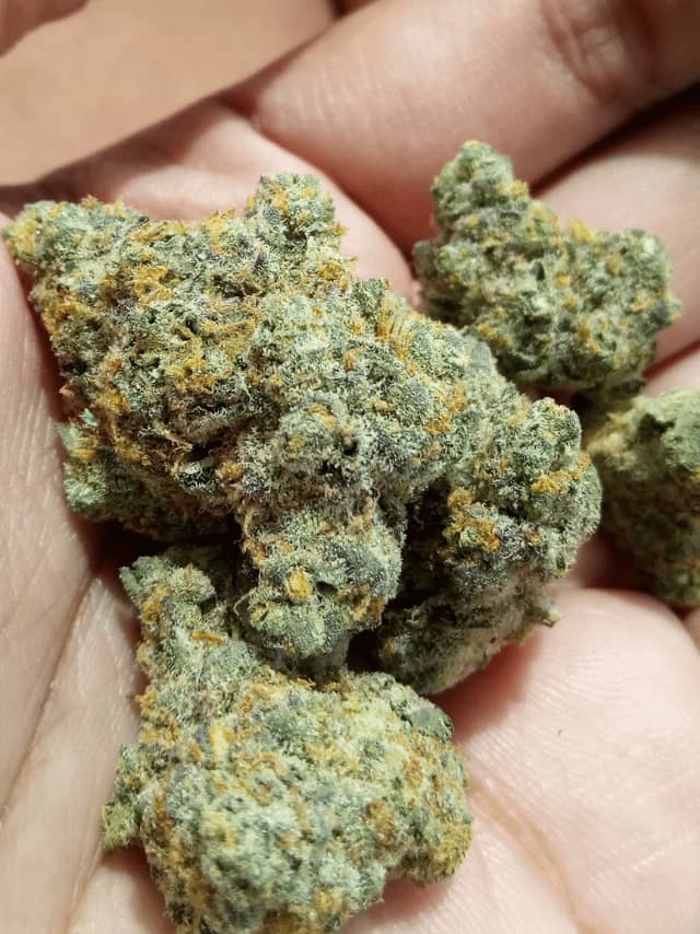 Buy RS 11 Strain UK - Image 3
