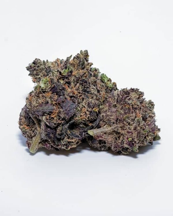 Buy Acai Gelato Strain UK