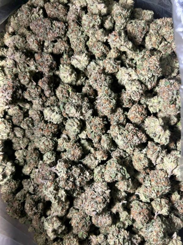 Buy Acai Gelato Strain UK - Image 4