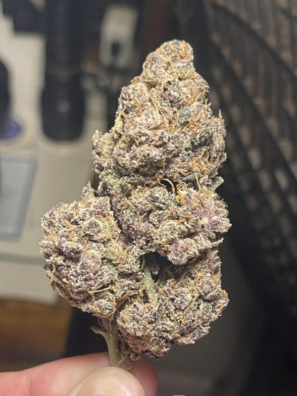 Buy Bubblegum Runtz UK