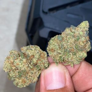 Buy Galactic Candy StrainUK