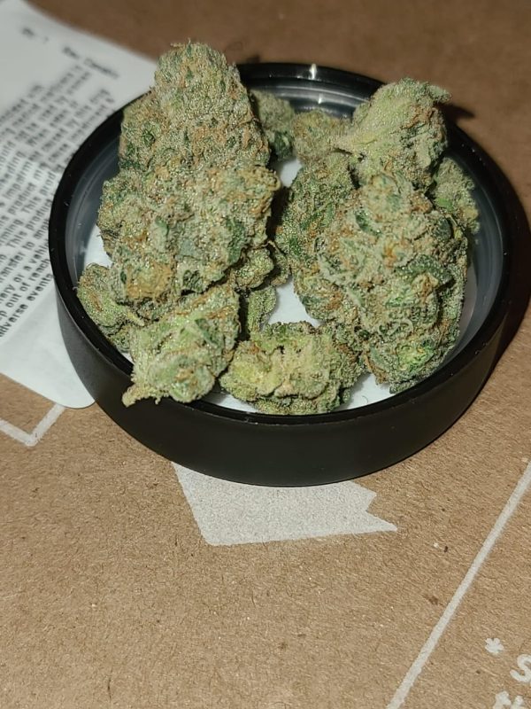 Buy Jealousy  Strain UK - Image 3
