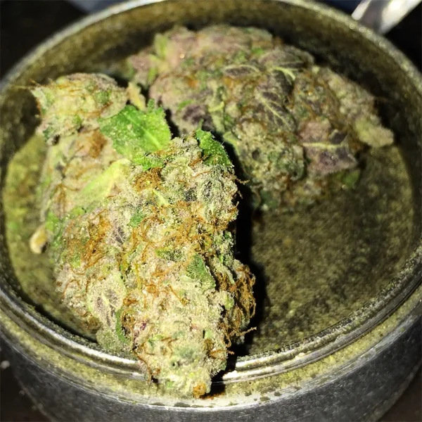 Buy Kool Aid Strain UK - Image 3