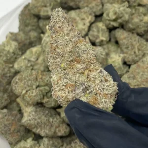 Buy Mac Doughnut Strain UK