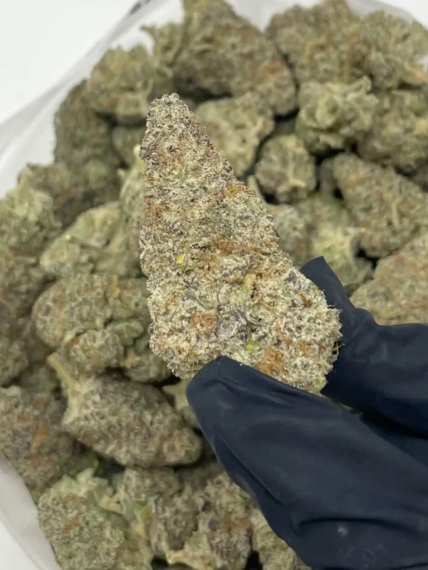 Buy Mac Doughnut Strain UK