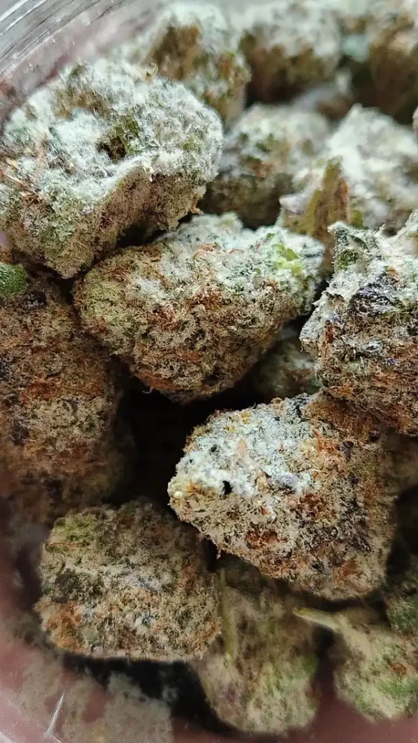 Buy Mac Doughnut Strain UK - Image 3