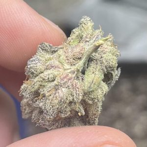 Buy ShortCakez Runtz UK