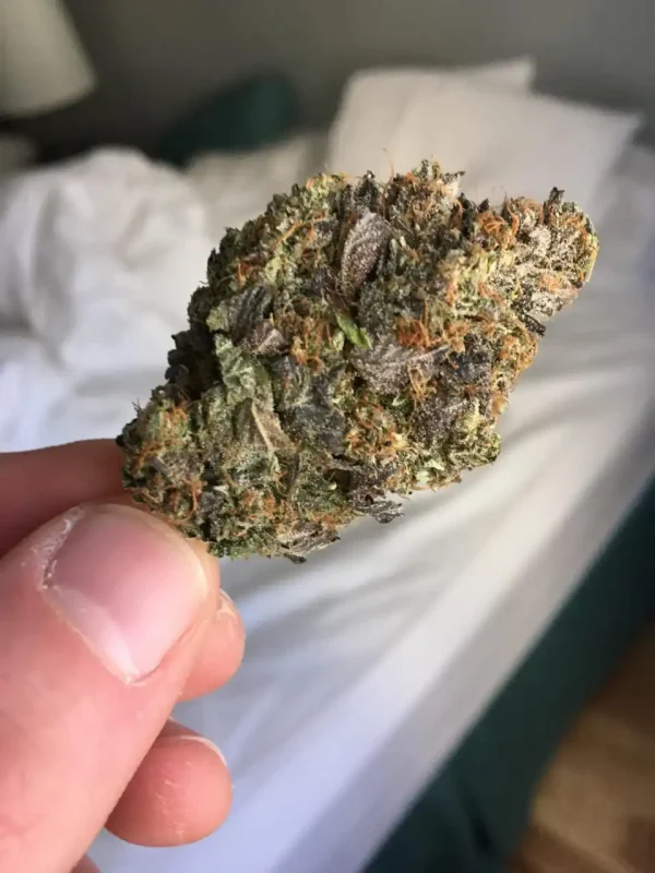 Buy Pink Starburst Strain UK