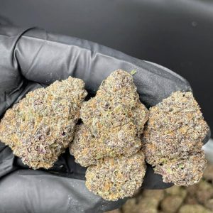 Buy Zaza strain UK
