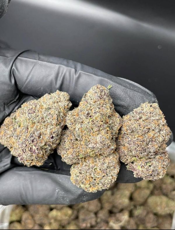 Buy Zaza strain UK
