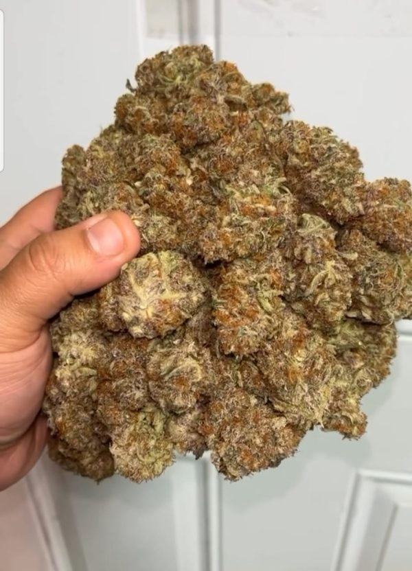 Buy Zaza strain UK - Image 4